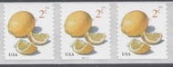 5256 2c Meyer Lemons PNC of 3 5256pnc3