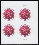 5460 Global Forever Chrysanthemum Mint Plate Block of 4 5460pb