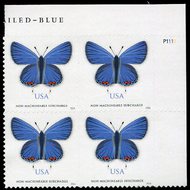 5136 Non Machinable Eastern Tailed-Blue Butterfly Plate Block 5136pb