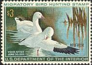 RW37 1970 Duck Stamp 3 Ross's Geese F-VF Mint NH rw37nh