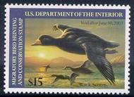RW69 2002 Duck Stamp 15.00 Black Scoter   Used rw69used