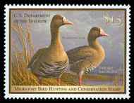 RW78 2011 15.00 White Fronted Geese F-VF NH rw78nh