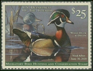 RW86 2019 25 Wood Duck and Decoy Duck Stamp Mint Single rw86nh