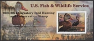 RW87A 2020 25 Black Bellied  Whistling  Duck Stamp Sheet of 1 rw87A