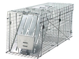 Havahart 1089 Collapsible Large Cage Trap 1089