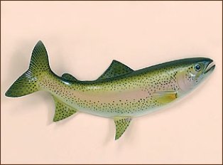River's Edge Rainbow Trout Wall Mount 543