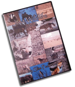 Just Wildlife DVD by Slim Pedersen #vid300