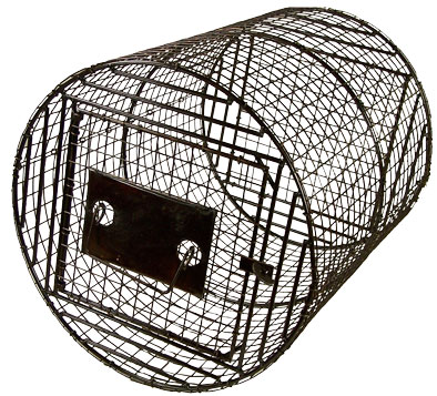 Freedom Standard Brand Rolling Cages  freedom18