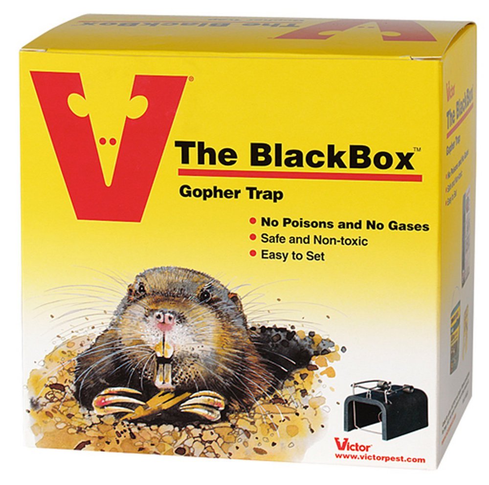 Victor Victor® The BlackBox™ Gopher/Mole Trap (625) Molnar Outdoor