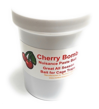 NNC Cherry Bomb Paste Bait  #NNCCBB8
