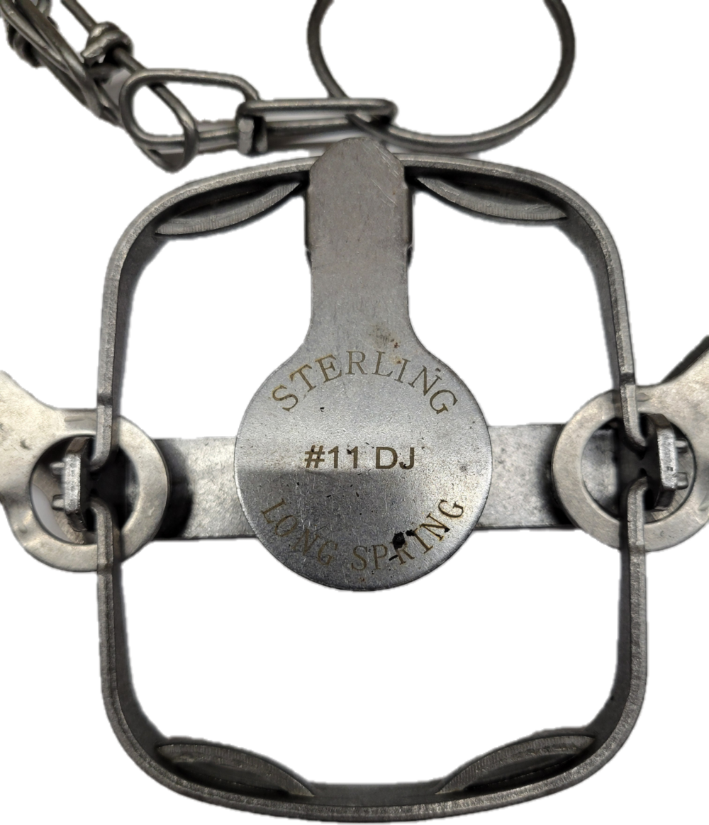 Sterling 11 Dogless Double Jaw Long Spring Traps | Northern Sport Co.