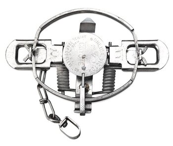 thumbnail image 2 of Duke #3 Coil Spring Traps – 6-Pack For Beaver, Fox, Bobcat, Coyote, Lynx (Model 0500) 2 of 6