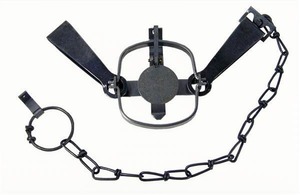 Blake & Lamb #11 Long Spring - Regular BL11LSR