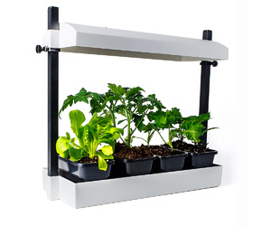 SunBlaster Micro LED Grow Light Garden, White SL1600219