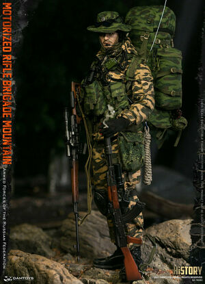 Dam 1/6 Scale 12" Armed Forces of the Russian Federation Figure 78083 78083