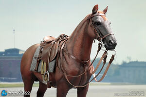1/6 Scale Brown WWII German War Horse (Standing) for 12" Figures E60084
