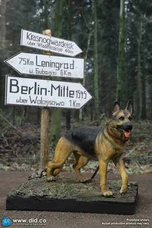 1/6 Scale WWII Road Signs Accessory Kit for 12" Figures  E60072